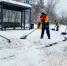 Остановочные павильоны автобусного маршрута Москва-Пущино очистили от снега - Regions.Ru