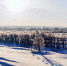 Сильные морозы до –30 °C накроют Подмосковье после оттепели - Regions.Ru