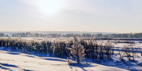 Сильные морозы до –30 °C накроют Подмосковье после оттепели - Regions.Ru