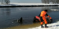 Что известно о поисках трёх детей в Звенигороде - ОКА-ФМ
