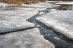 Фото сгенерировано нейросетью