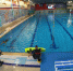 Представители Серпухова приняли участие в межрегиональном спортивном фестивале - ОТВ-Серпухов