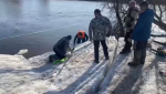 Найдены, погибли. В Звенигороде закончились самые тяжёлые поиски людей за последние годы