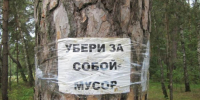 Жителей Серпухова зовут на субботник 18 апреля: где взять инвентарь - Smitanka.Ru