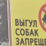 Более 200 нарушений правил содержания животных за квартал выявлено в Московской области - ОКА-ФМ