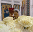 Когда в 2026 году будет отмечаться Троица - ОКА-ФМ