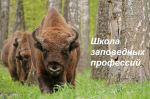 «Школа заповедных профессий»: Открой мир природы вместе с нами!